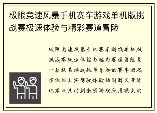 极限竞速风暴手机赛车游戏单机版挑战赛极速体验与精彩赛道冒险